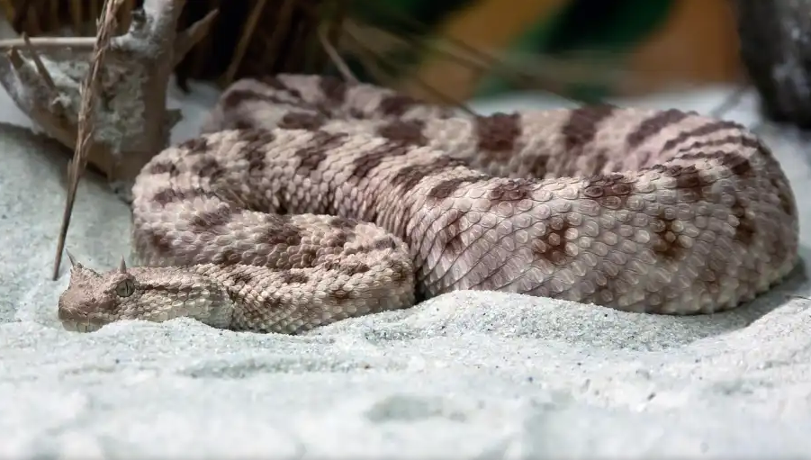 Screenshot_27_a884ef6f