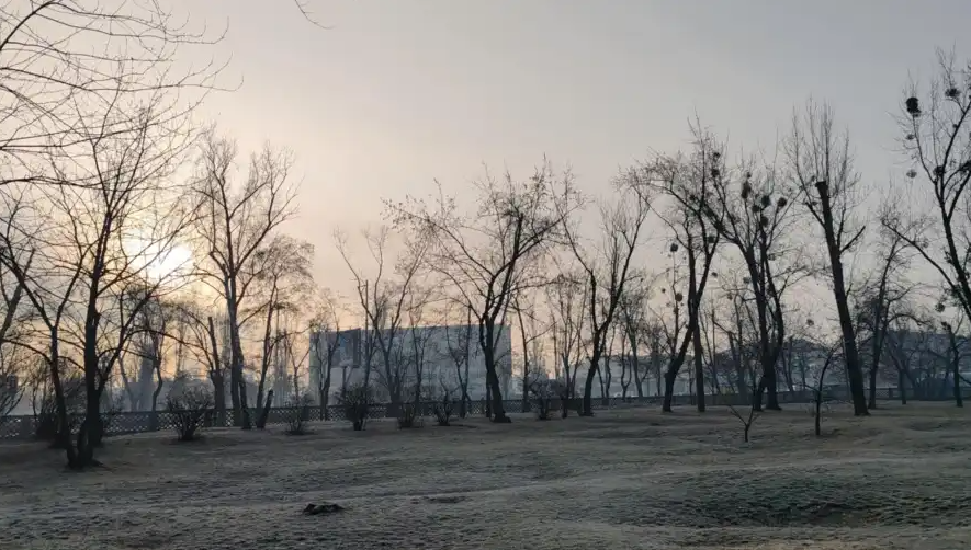 Screenshot_28_216c9163