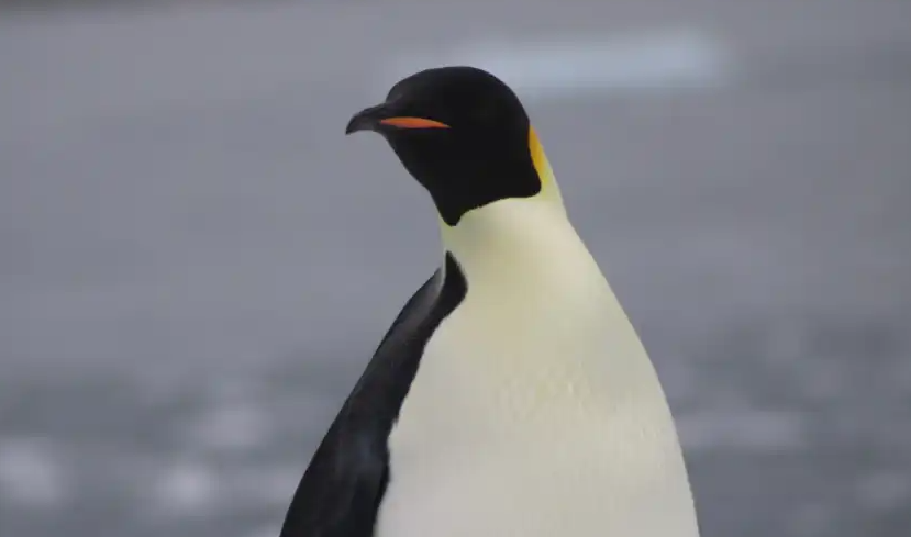 Screenshot_32_daf6272d