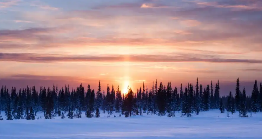 Screenshot_39_f2d48845