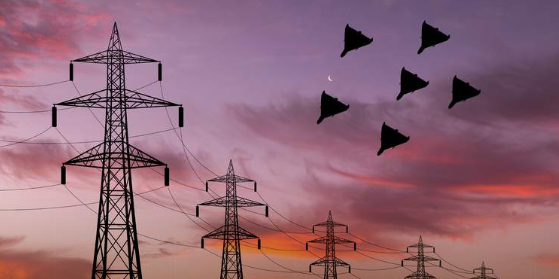 Screenshot_127_0cb728ef