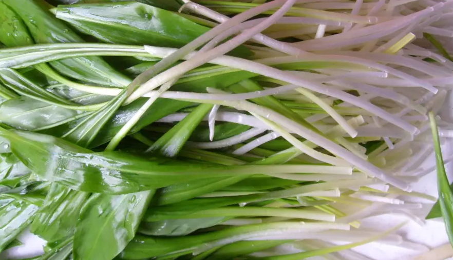 Screenshot_13_b1486e2b